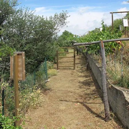 Paradiso Selvaggio-1 By Interhome 公寓 *