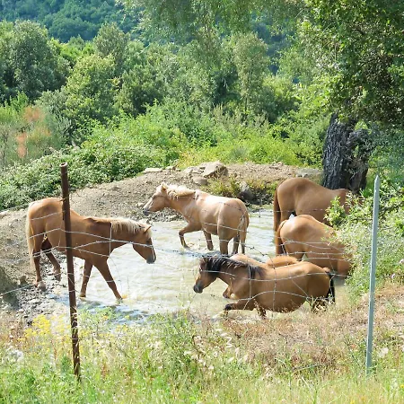 Paradiso Selvaggio-1 By Interhome