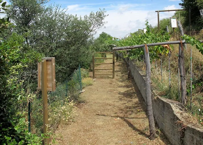 Paradiso Selvaggio-1 By Interhome Apartamento *