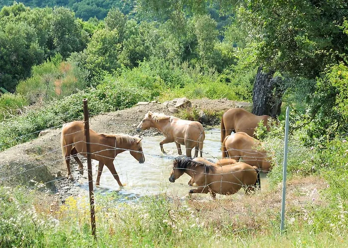 Paradiso Selvaggio-1 By Interhome